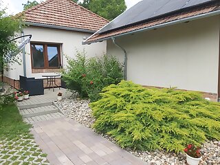 Erzsebet Apartman Gyula szállás