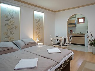 Rozsika Apartman Hajdunanas szállás