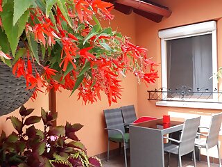 Ozon Apartman Hajduszoboszlo szállás