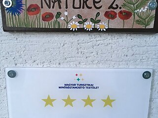 Nature 2 Apartman**** Heviz szállás