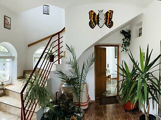Joker Villa Apartmanhaz Heviz szállás