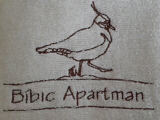 Bibic Apartman C Kapolnasnyek szállás