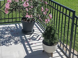 Tandem Apartman Kapolnasnyek szállás