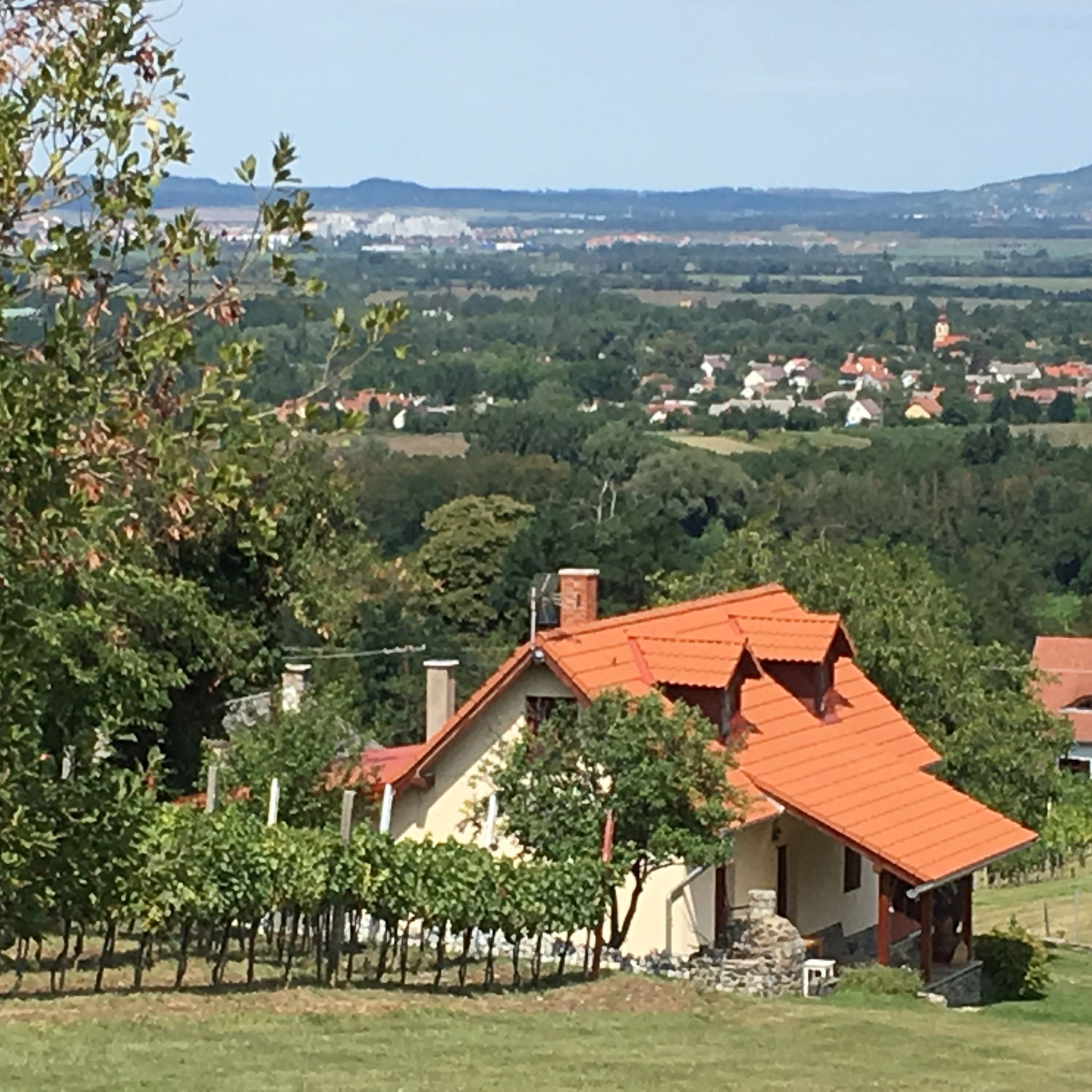 Hegypanorama Apartman Nemesgulacs Badacsony