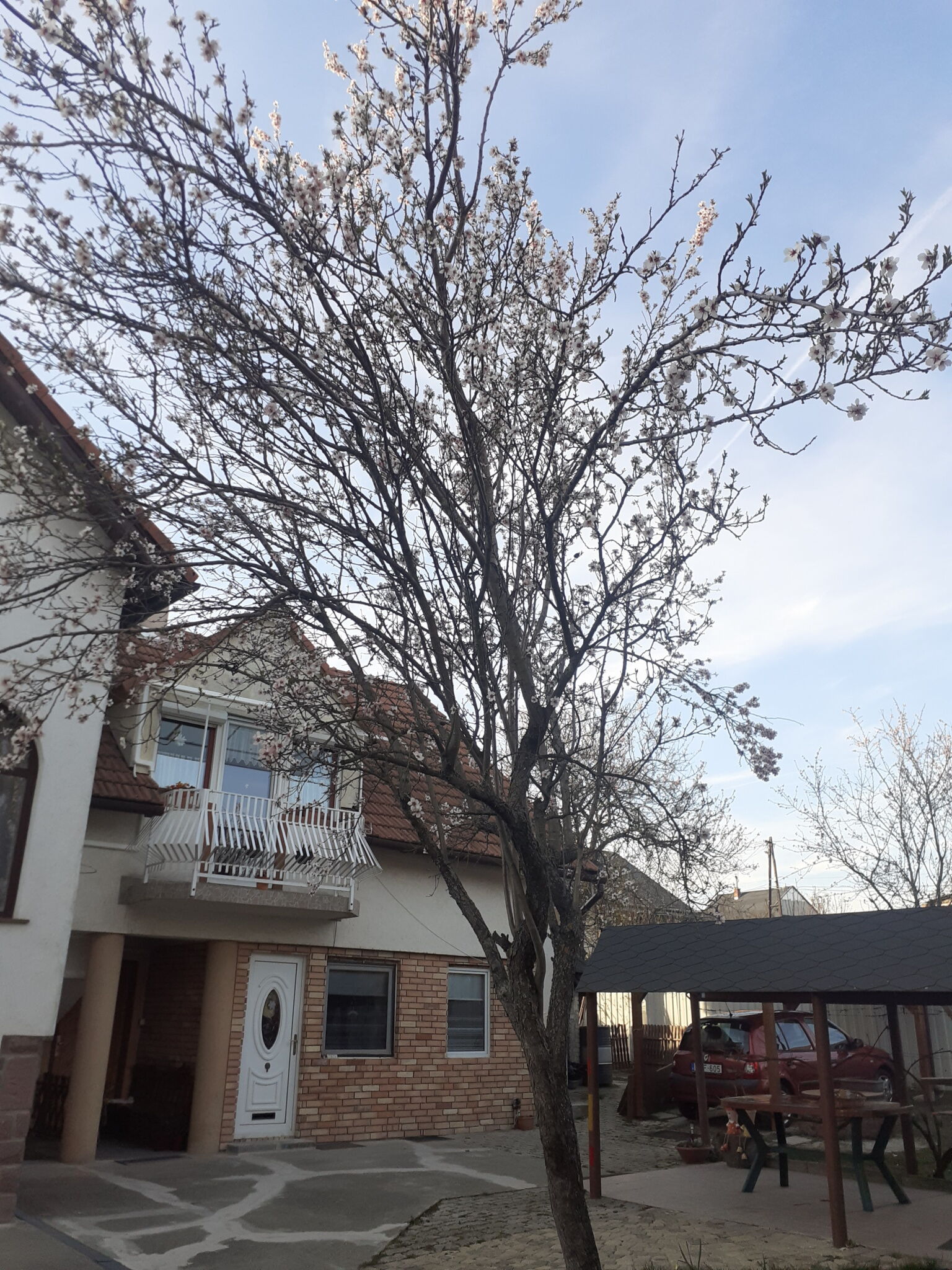 Mandulafa Apartman Balatonalmadi
