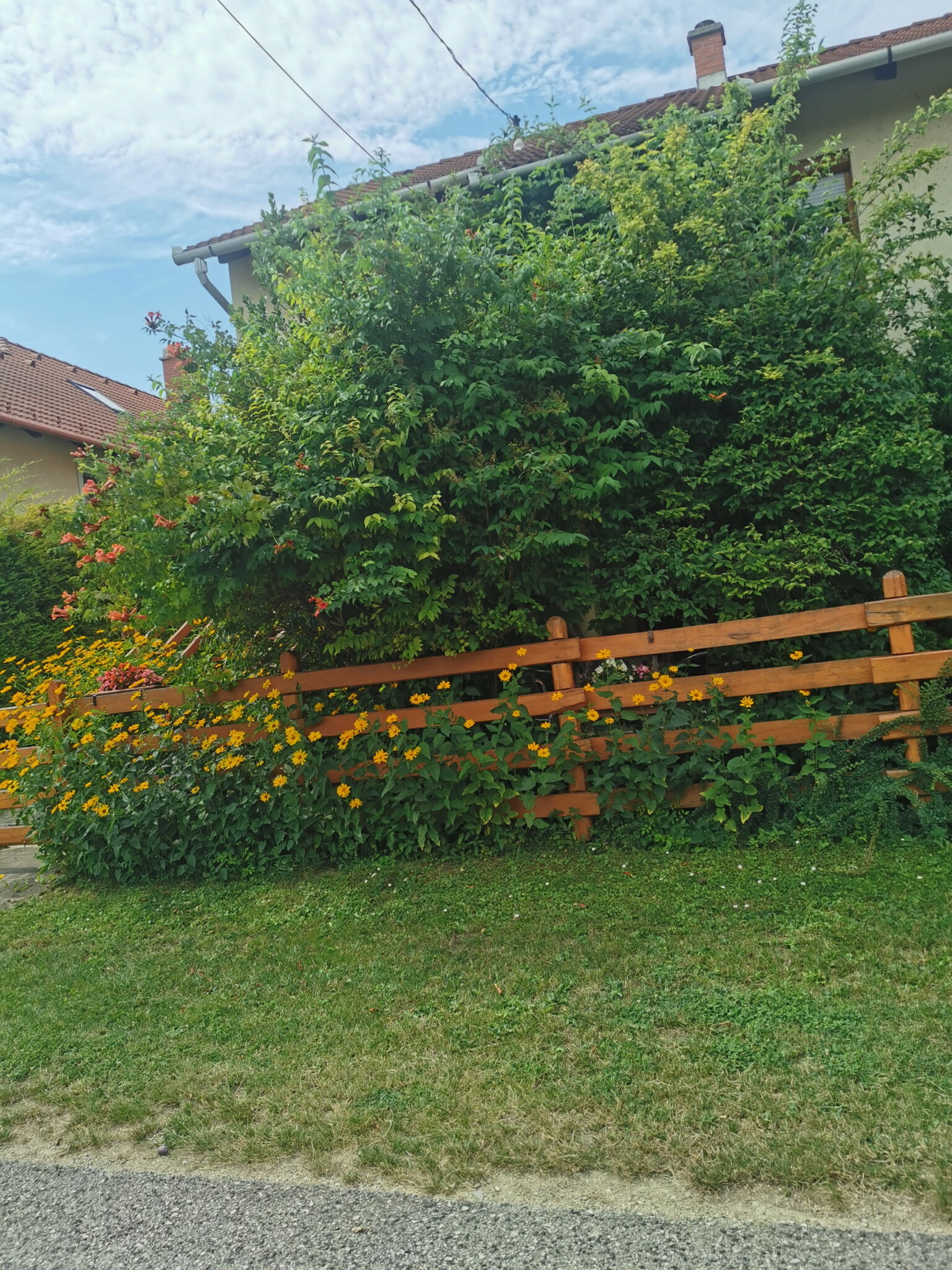 Balatoni Feszek Apartman Balatonalmadi