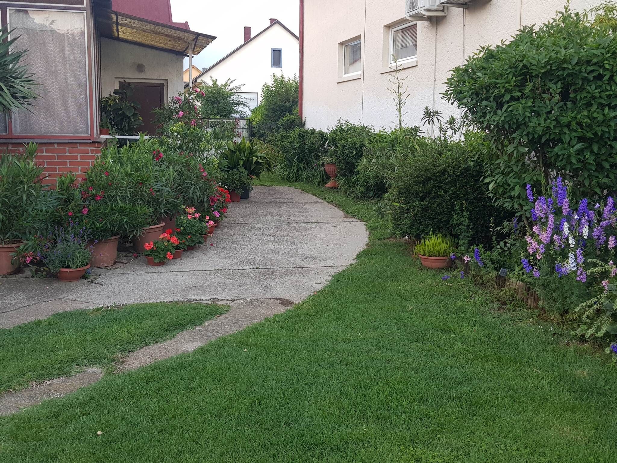 Liliom Apartman 5 Balatonboglar