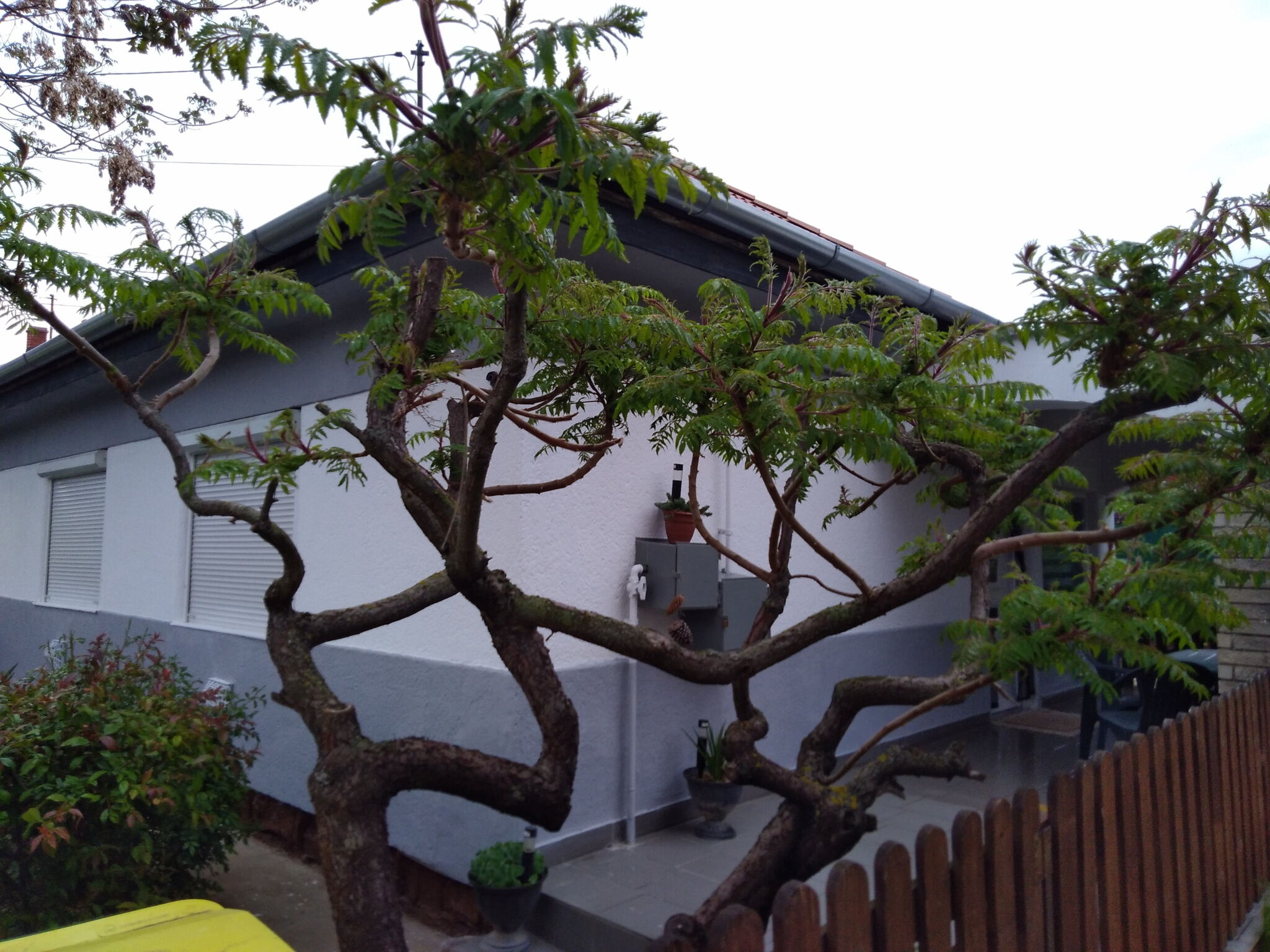 Bb Haz Apartman Balatonboglar
