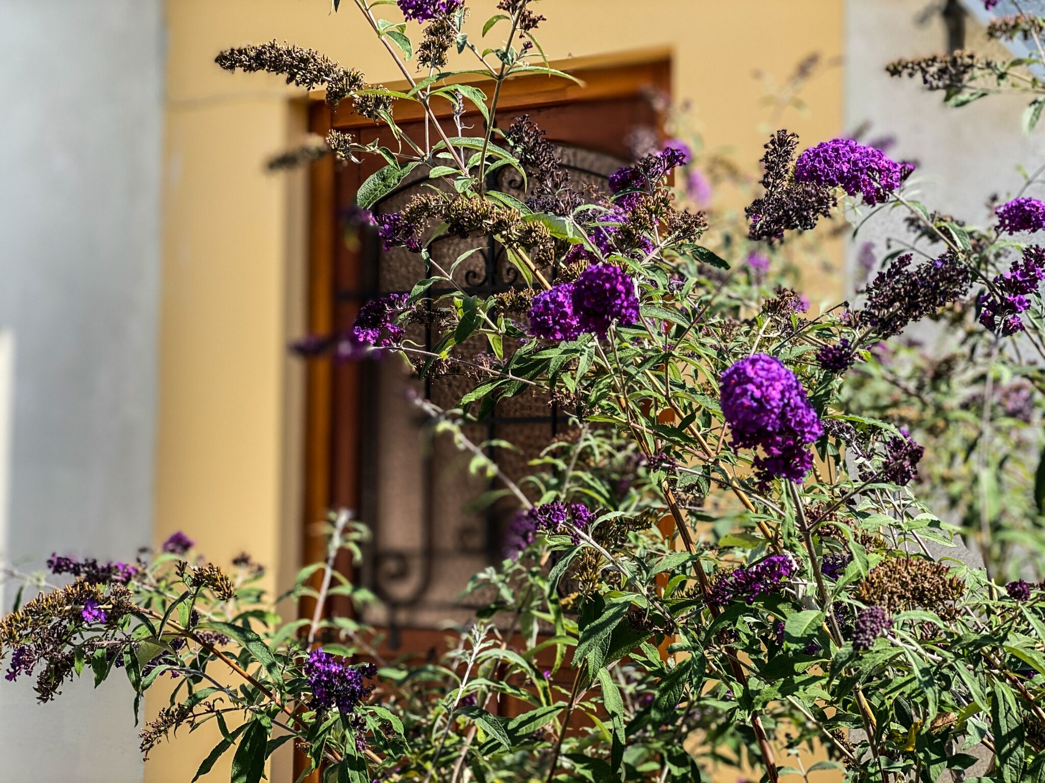 Pataki Porta Apartmanhaz Balatonederics