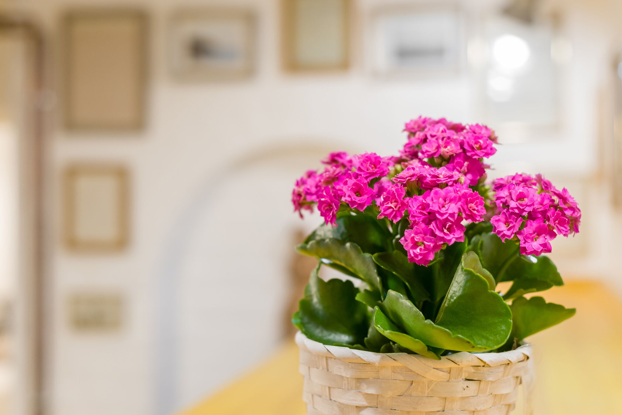 Adam Apartman Balatonfoldvar