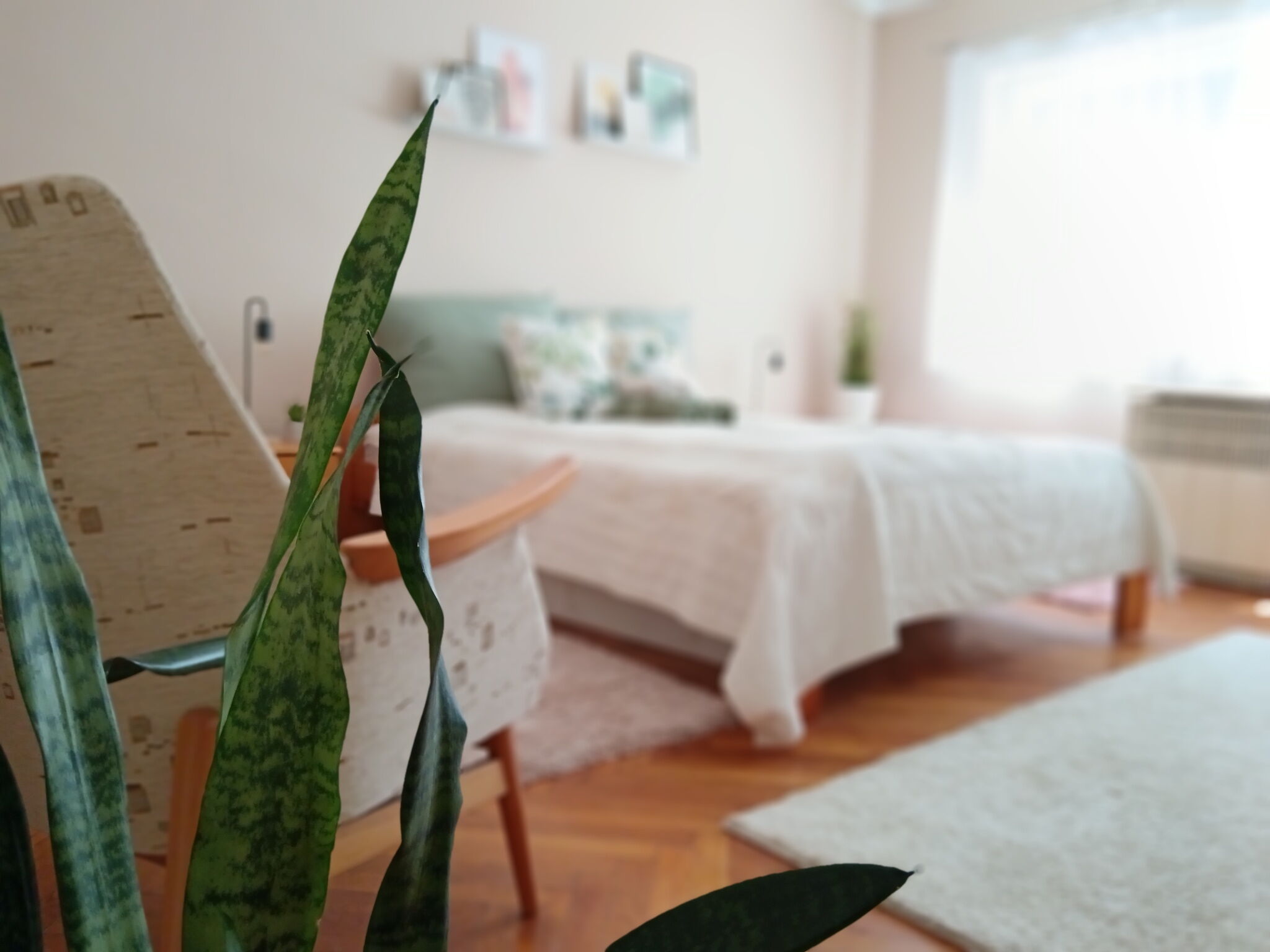 Tulipan Apartman Bekescsaba