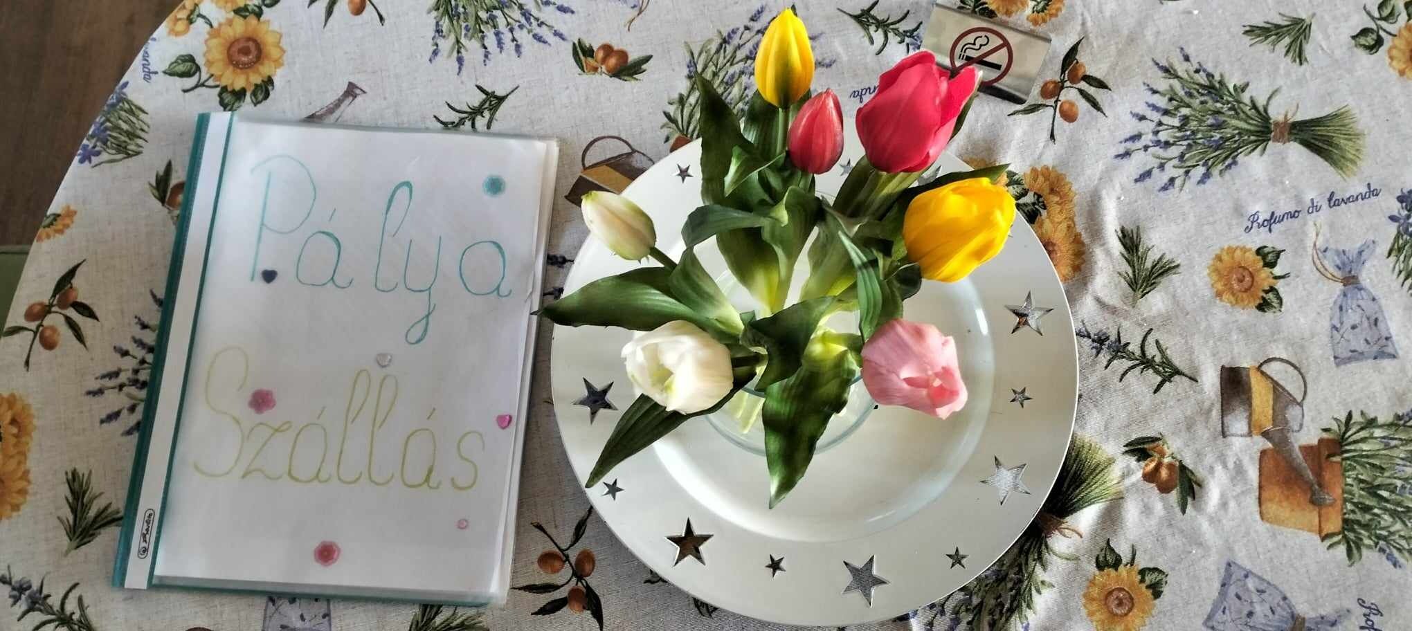Palyaszallas Apartman Budapest