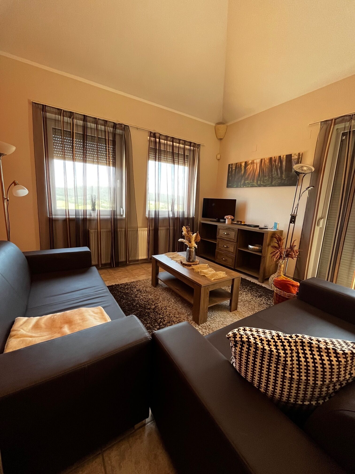 Dunai Panoramas Apartman Dunaszentmikloson