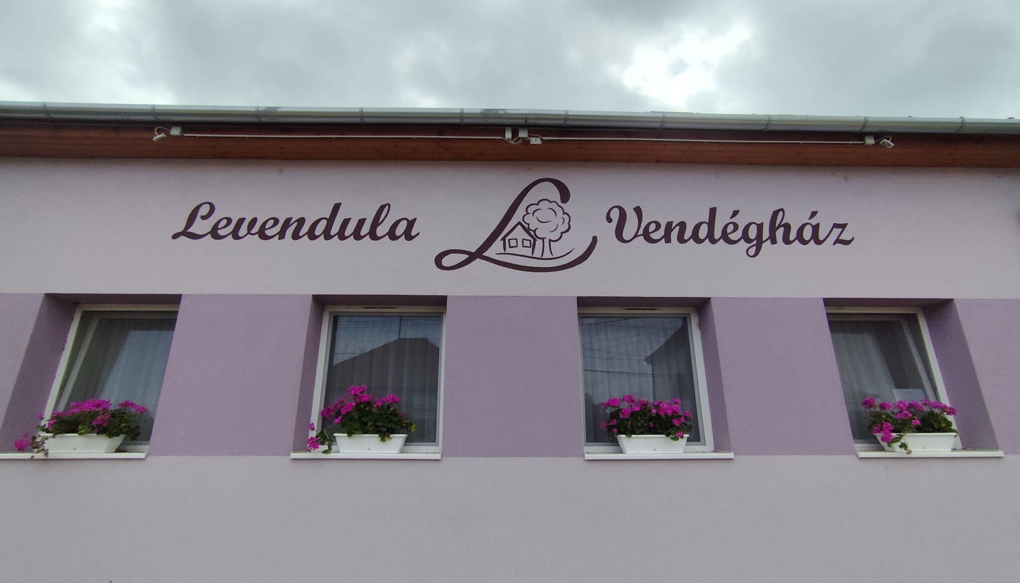 Levendula Vendeghaz Bezi