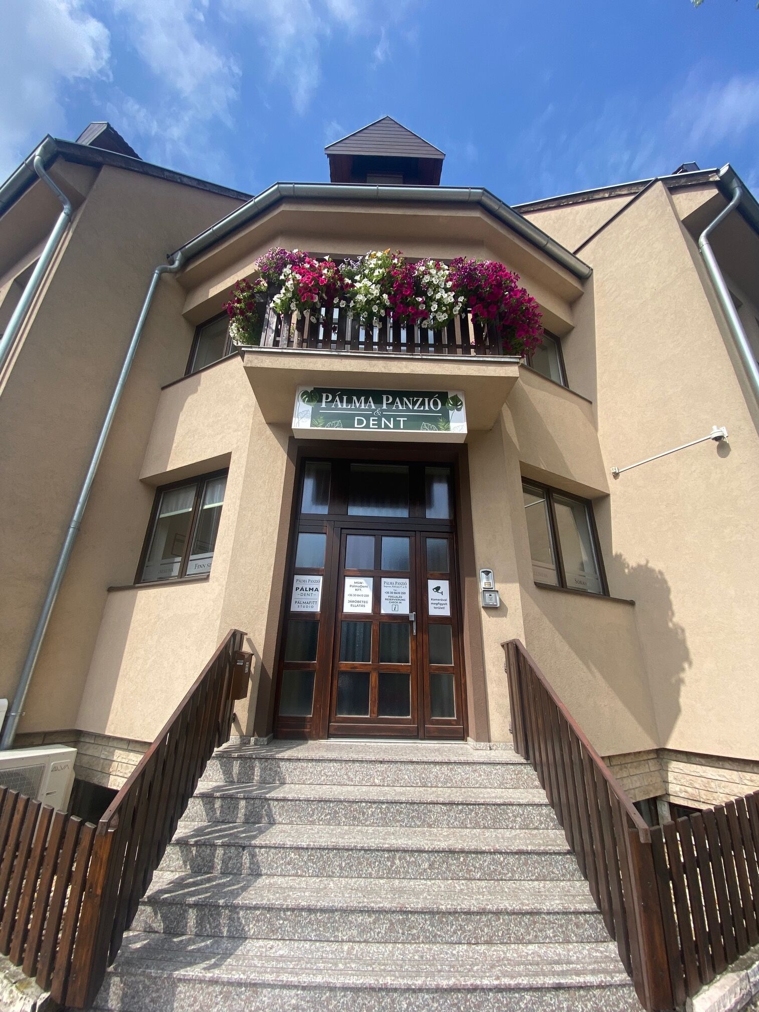 Palma Panzio Dent Sopron