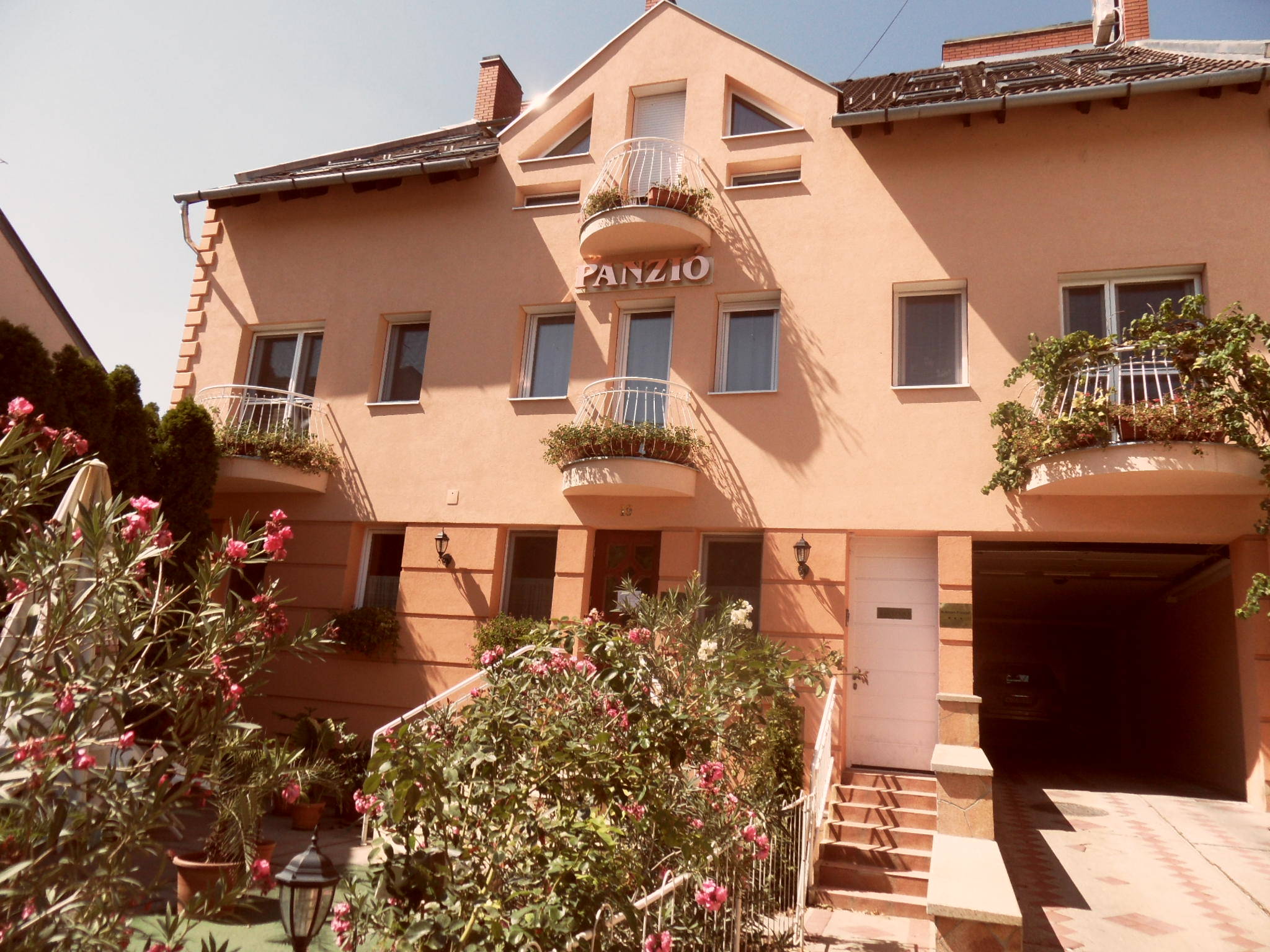 Kalman Panzio Szeged