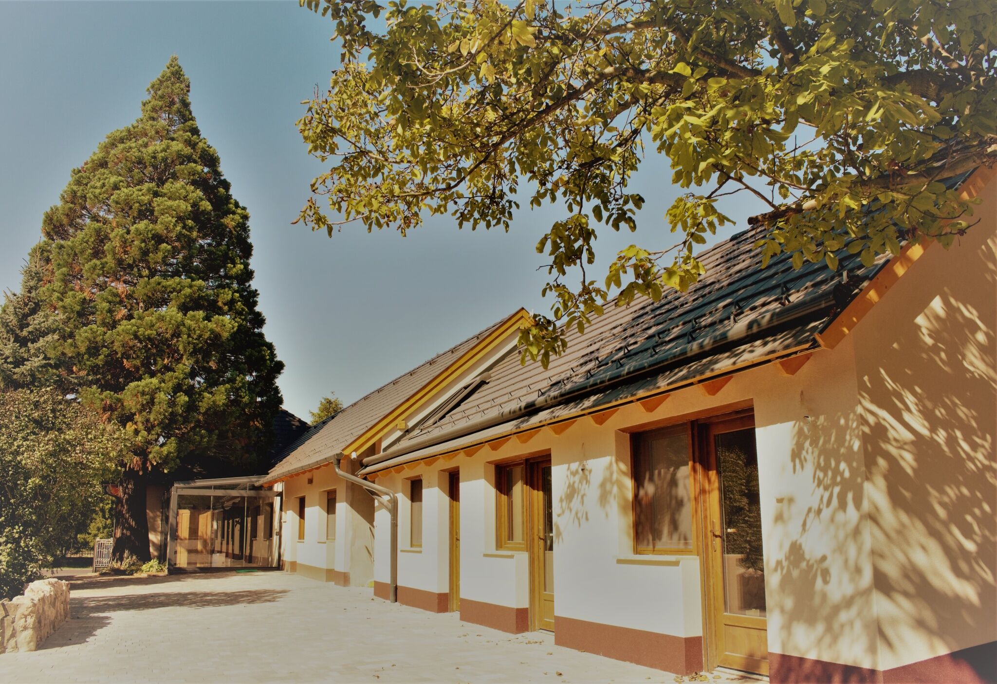 Mamutfenyo Panzio Tata