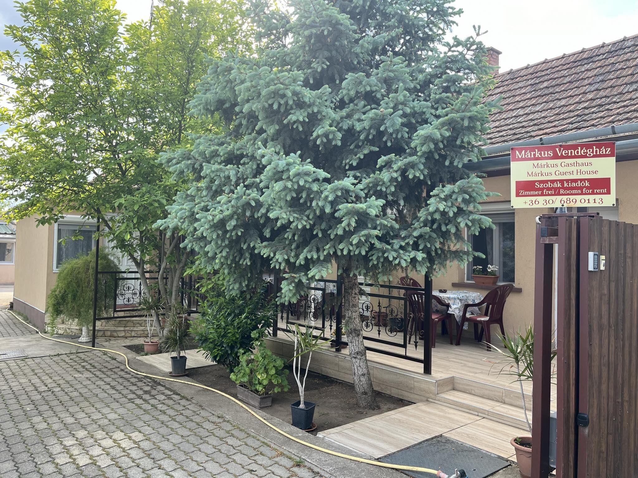 Markus Vendeghaz Hajduszoboszlo