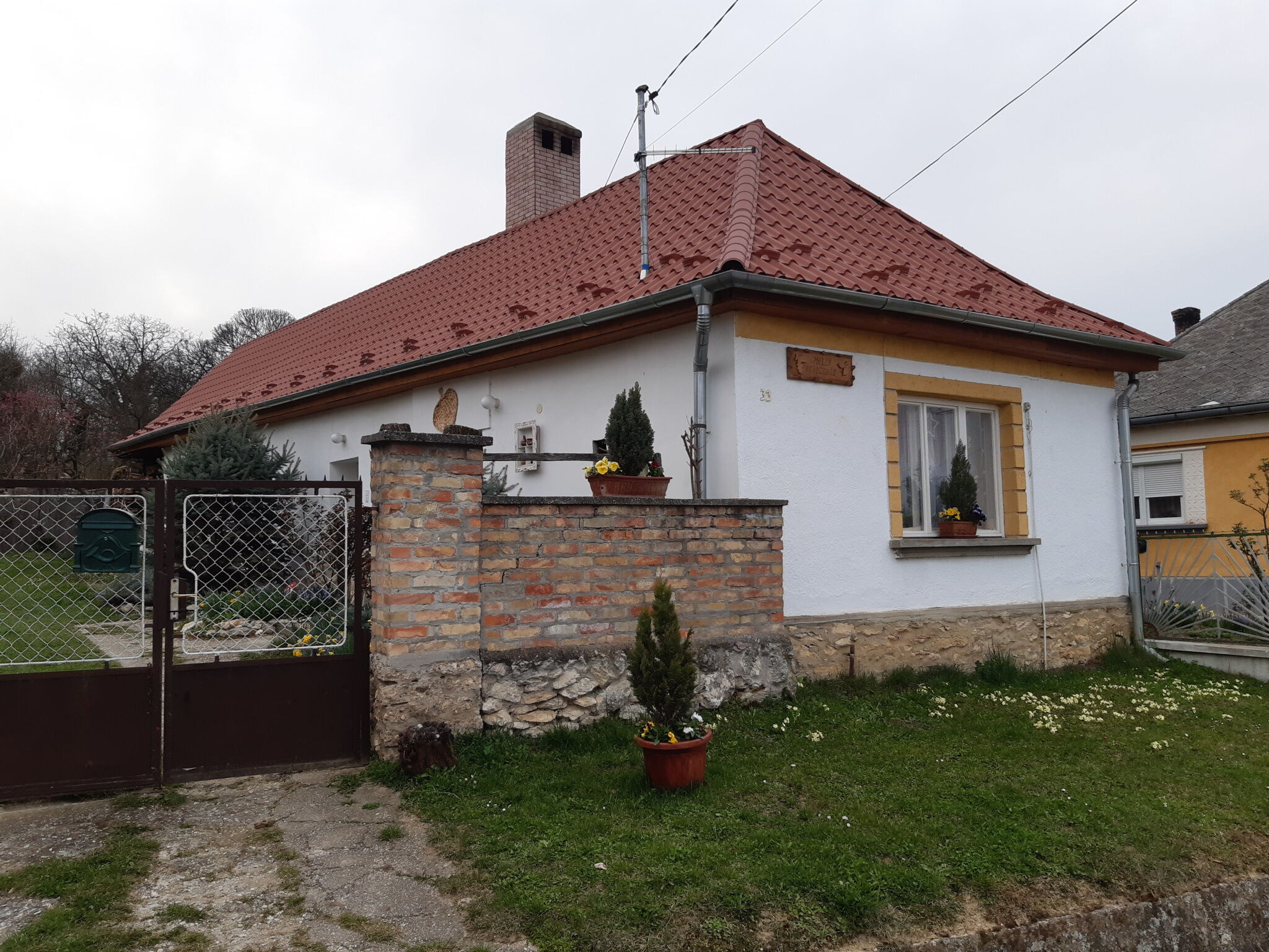 Molly Vendeghaz Bakonyszentlaszlo