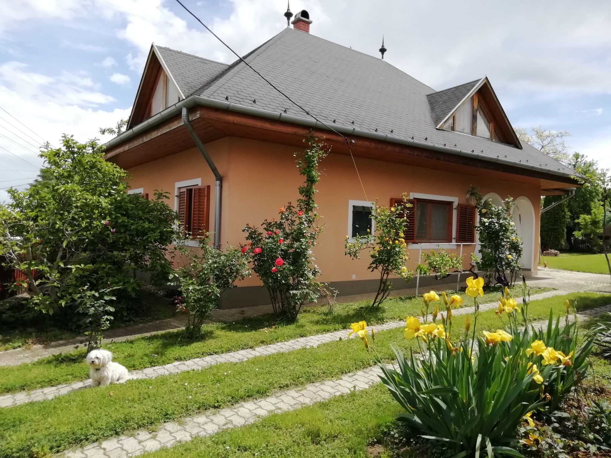 Varga Vendeghaz Balatonbereny