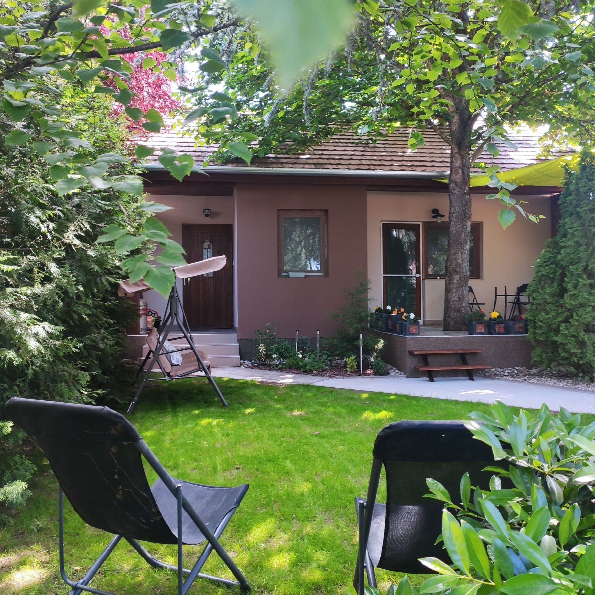 Cedrus Vendeghaz Balatonboglar