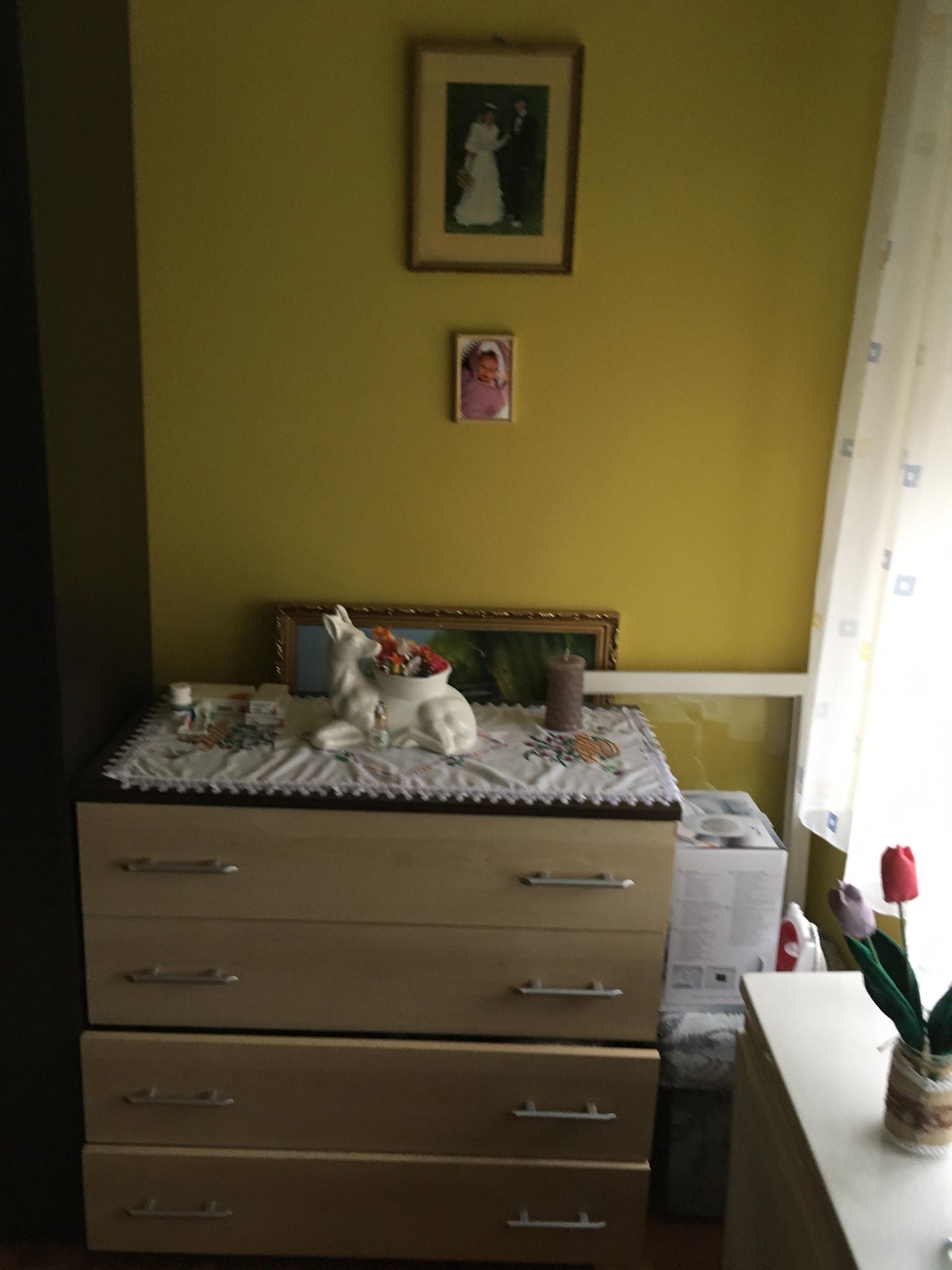 Erzsebet Vendeghaz Balatonboglar