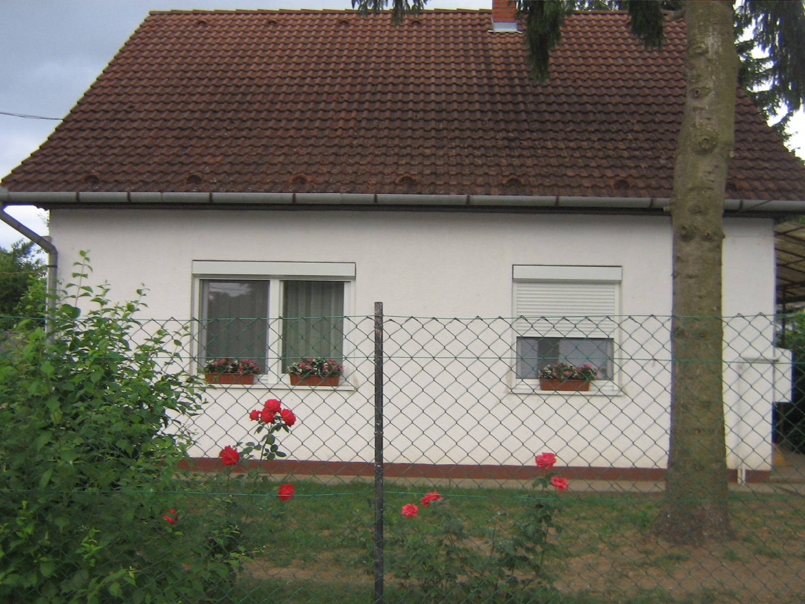 Ilona Vendeghaz Balatonboglar