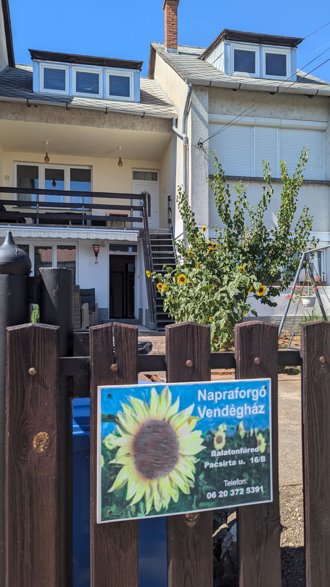 Napraforgo Vendeghaz Balatonfured