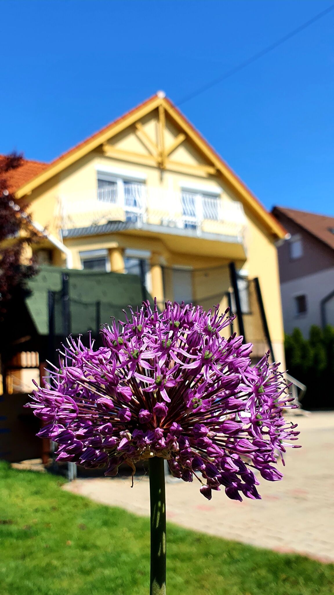 Li Do Vendeghaz Balatonfured