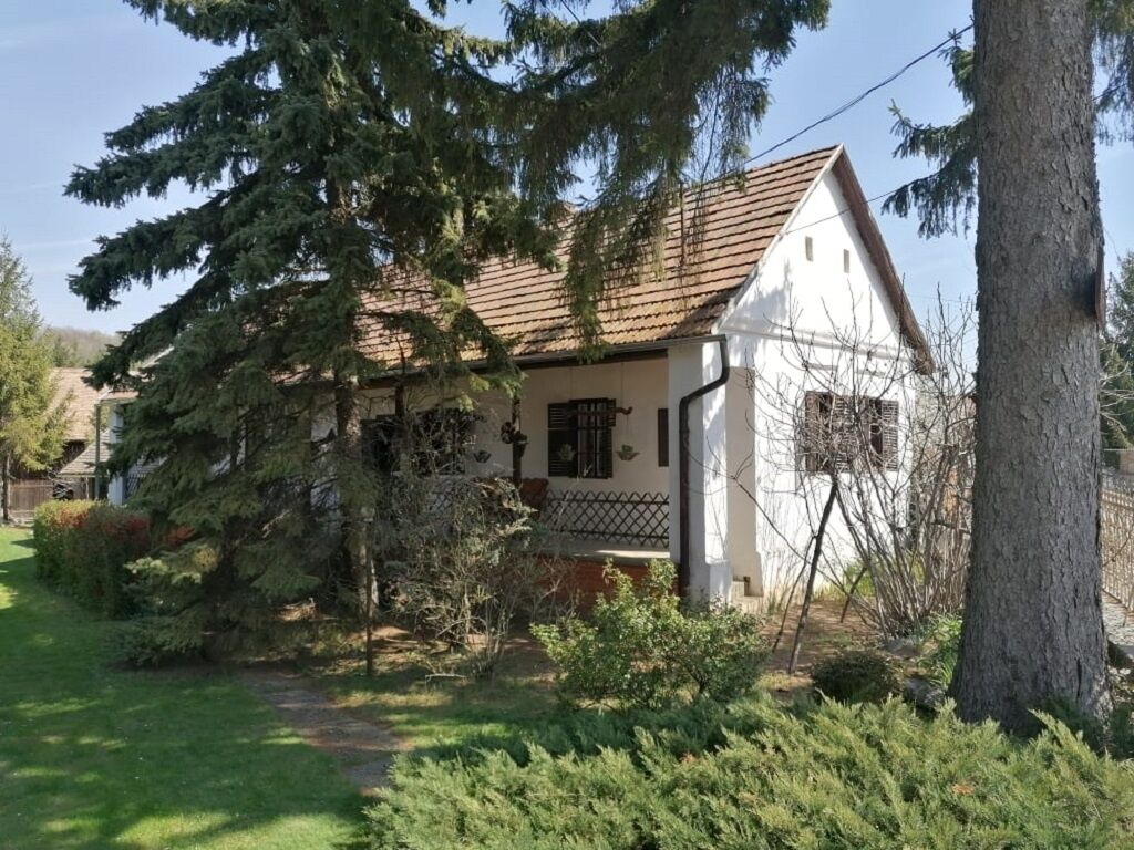 Panyor Vendeghaz Karasz