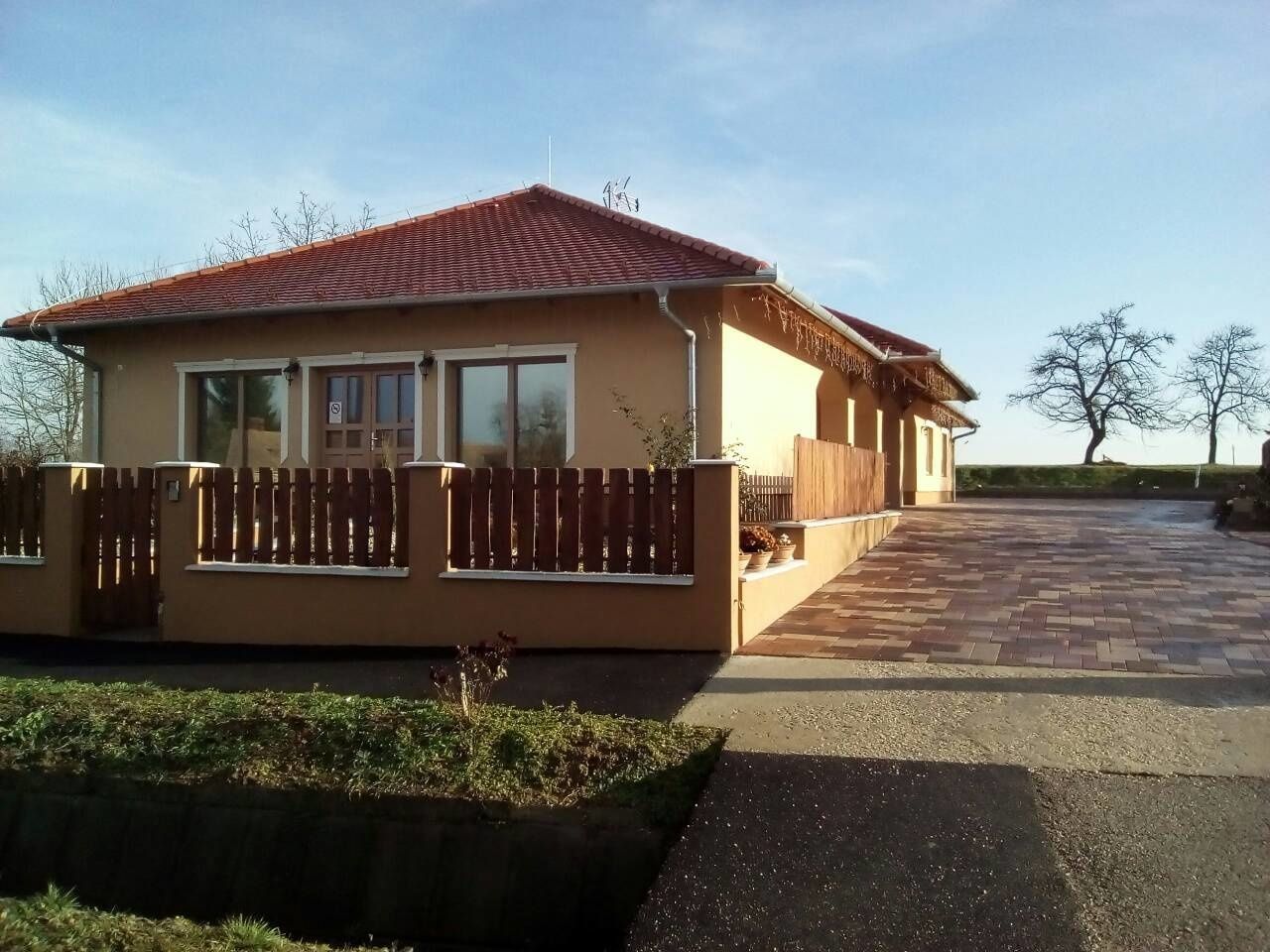 Marci Vendeghaz Bogote