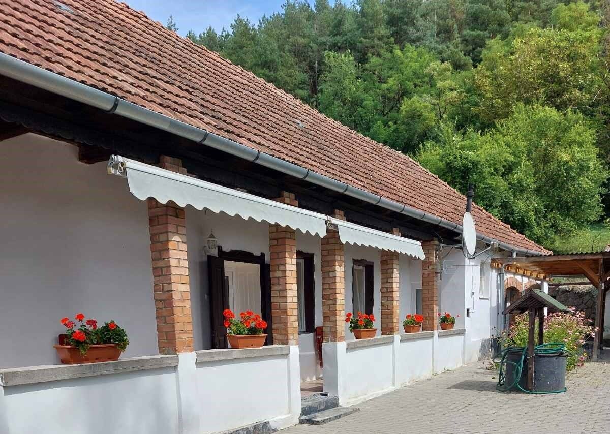 Bibok Vendeghaz Bükkszek