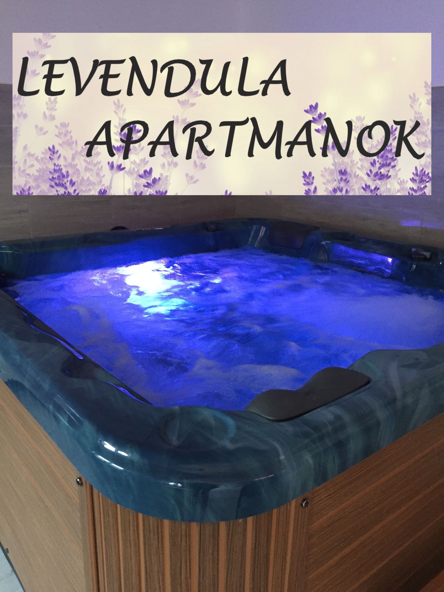 Alfoldi Levendula Vendeghaz Cserkeszolo