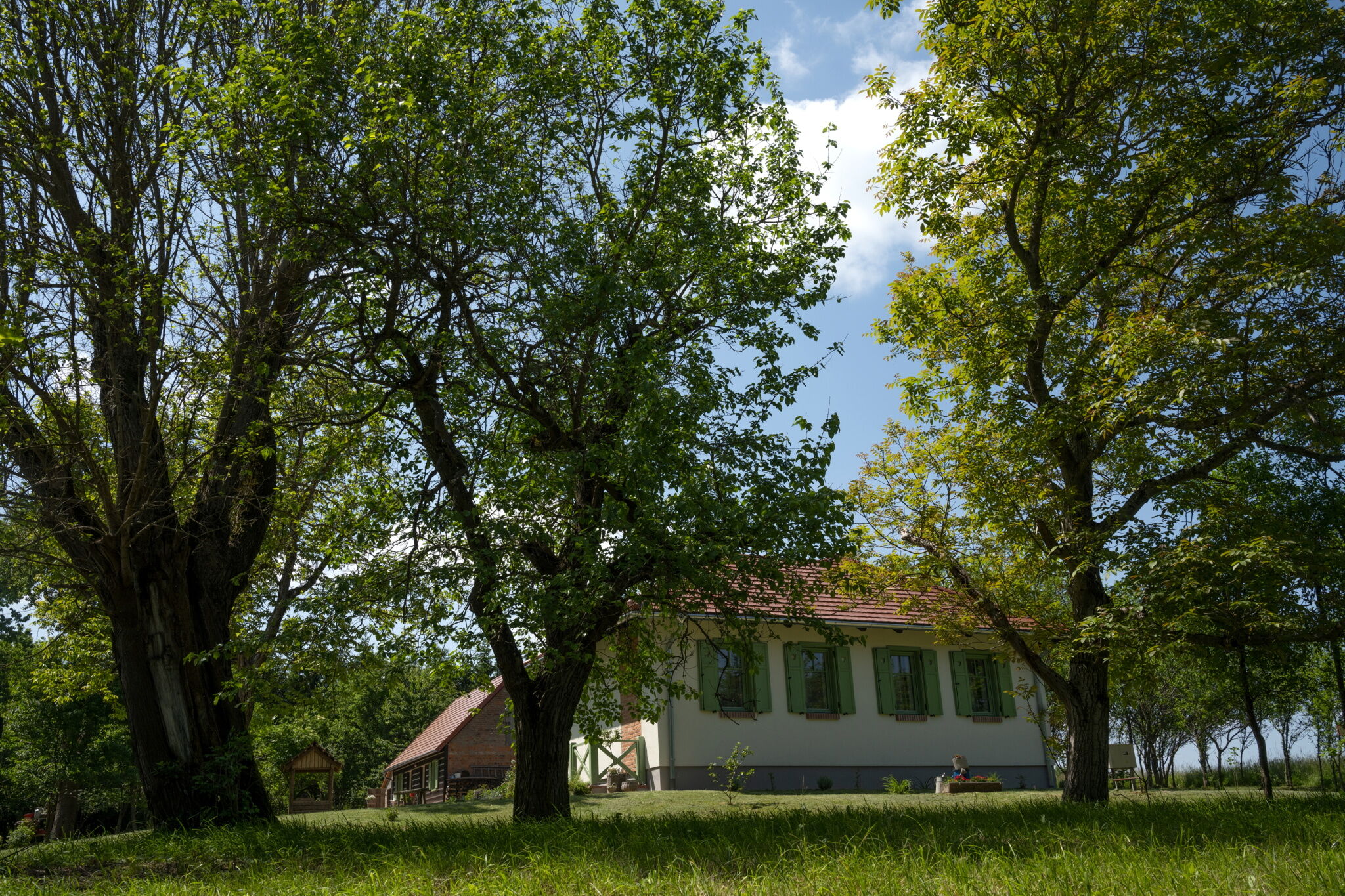 Pomper Porta Vendeghaz Kisrakos