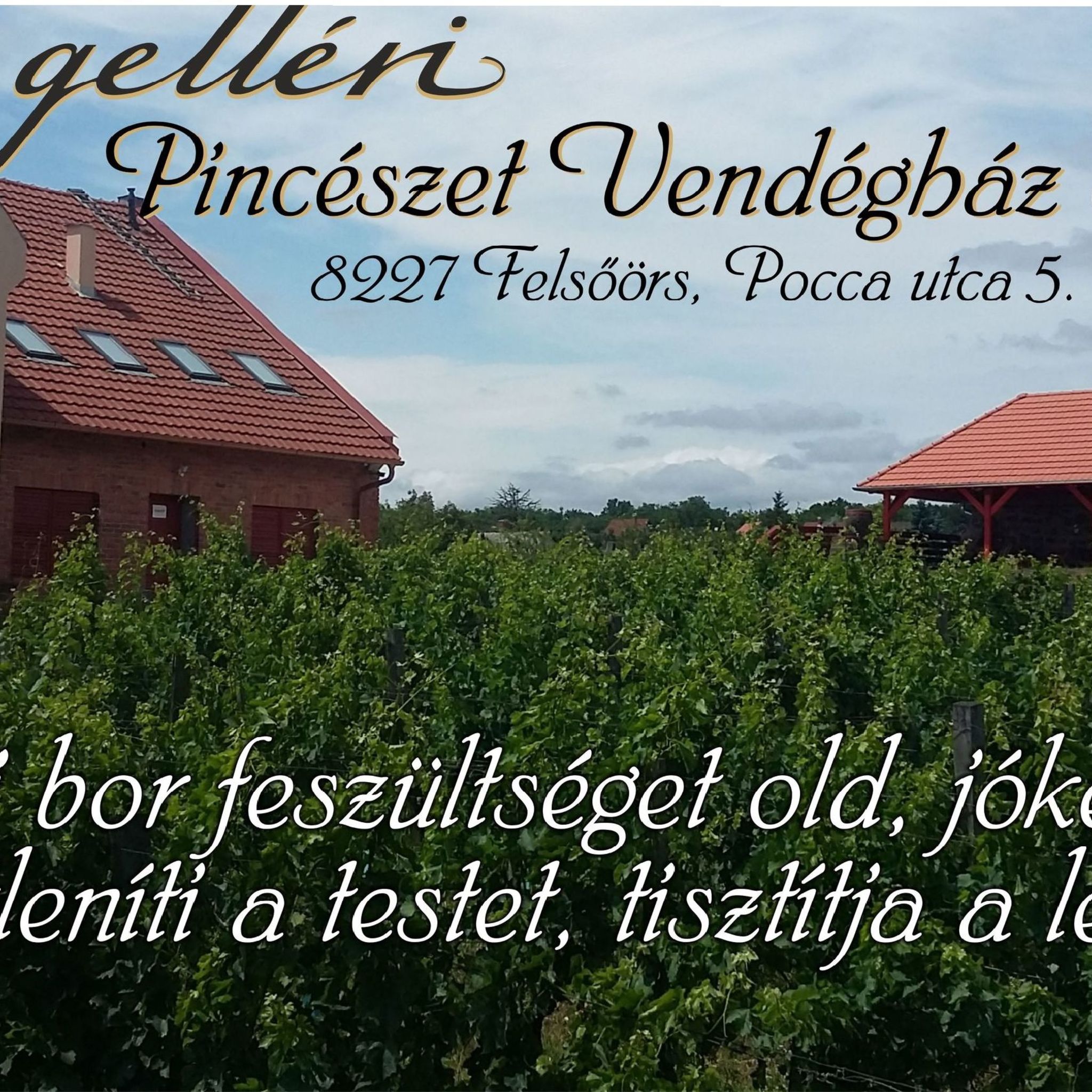 Gelleri Vendeghaz Es Borterasz Felsoors