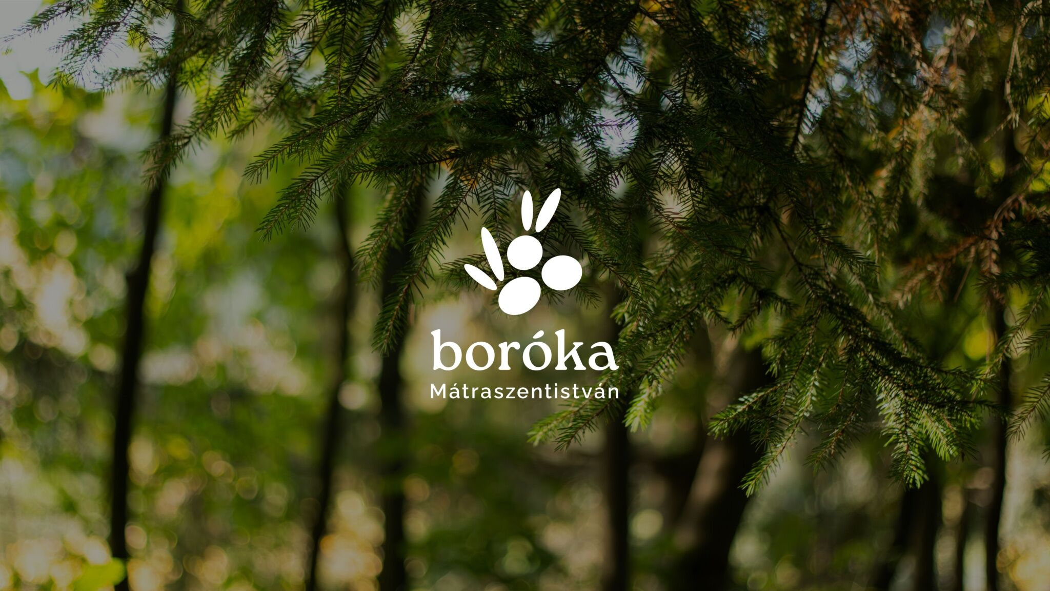 Boroka Vendeghaz Matraszentistvan