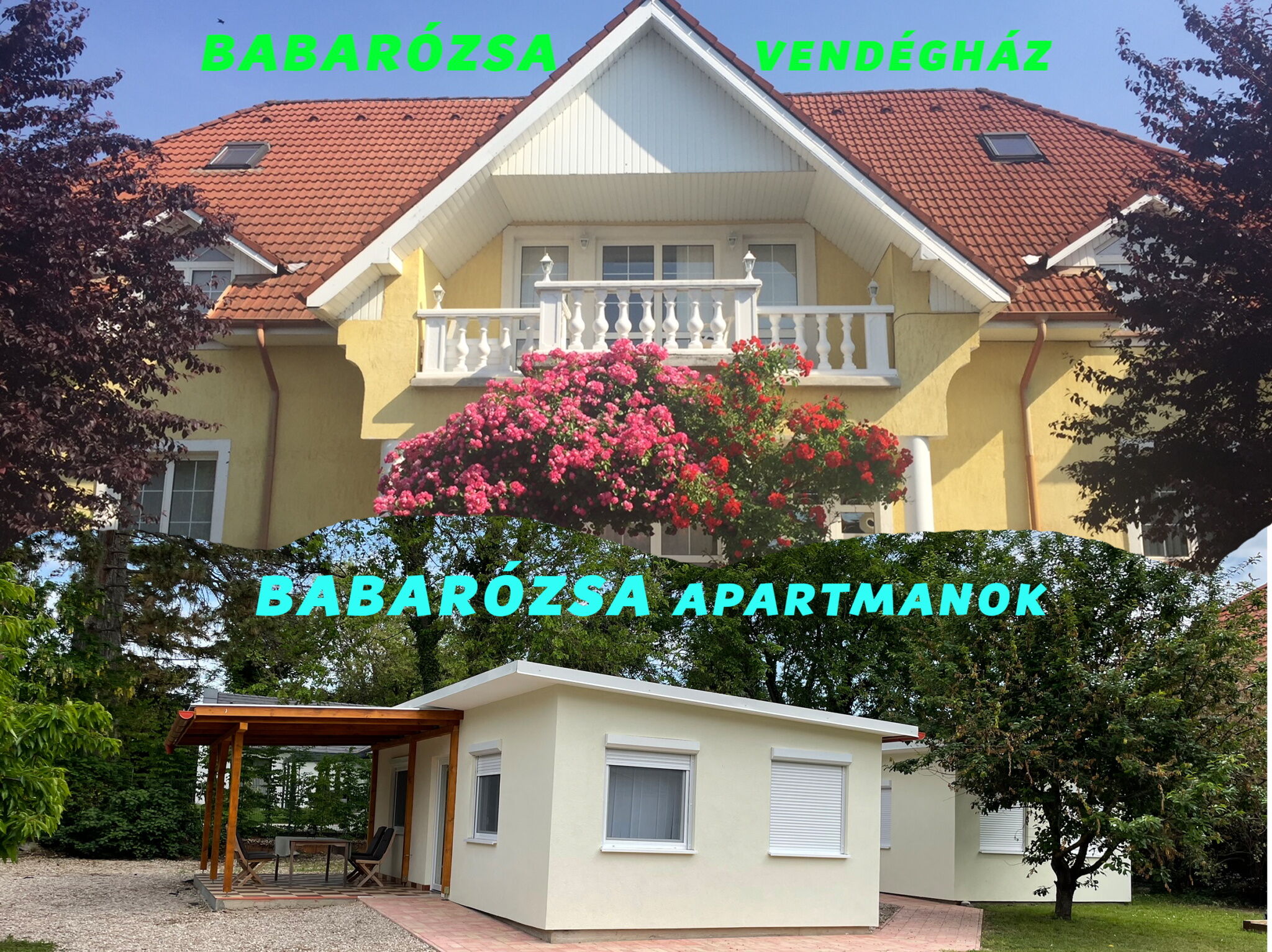 Babarozsa Vendeghaz Gyenesdias