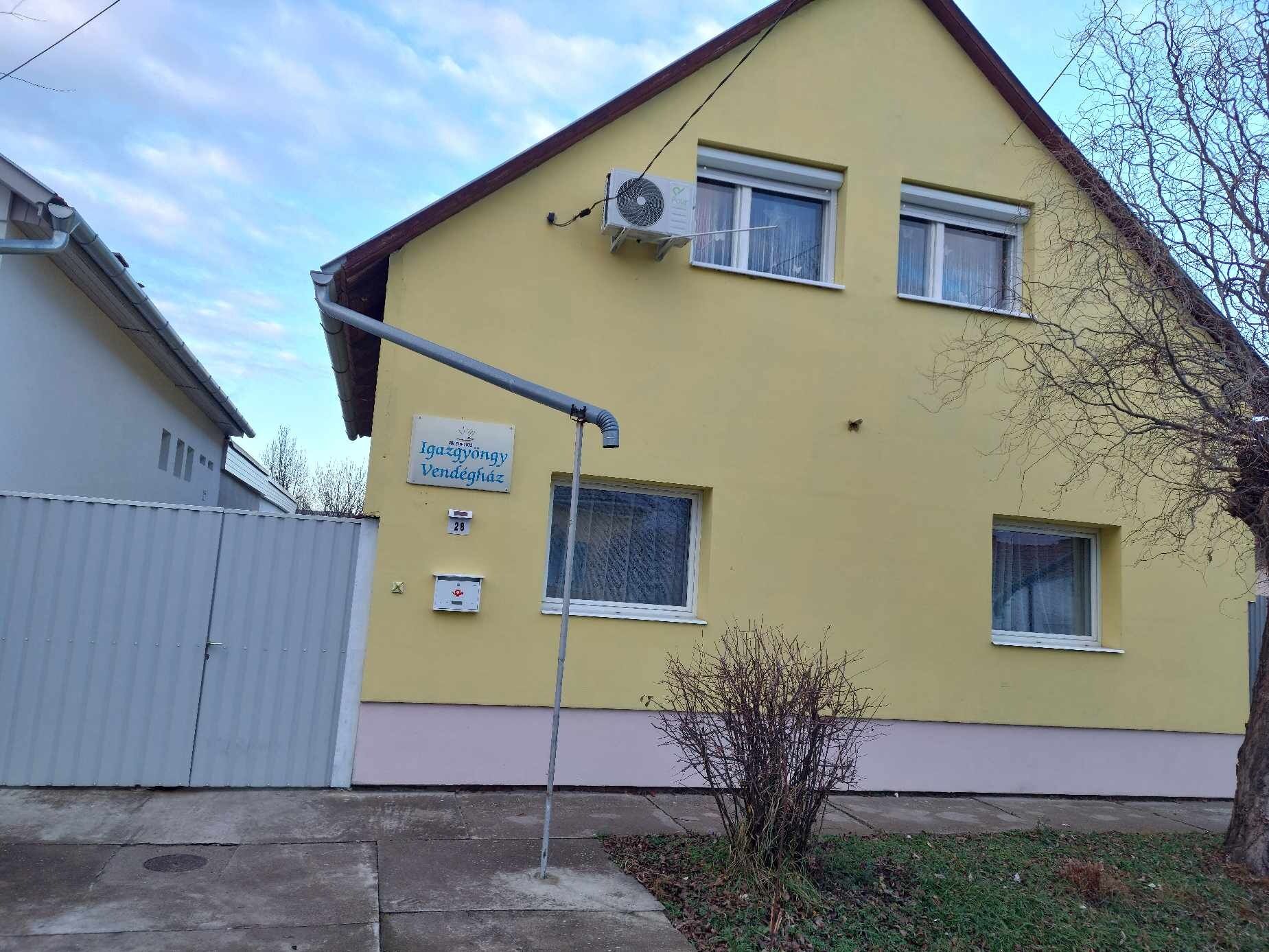 Igazgyongy Vendeghaz Hodmezovasarhely