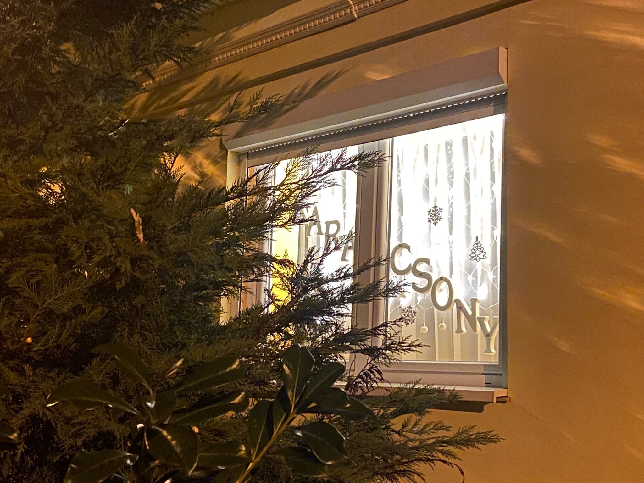 Ohuta Vendeghaz Paradohuta