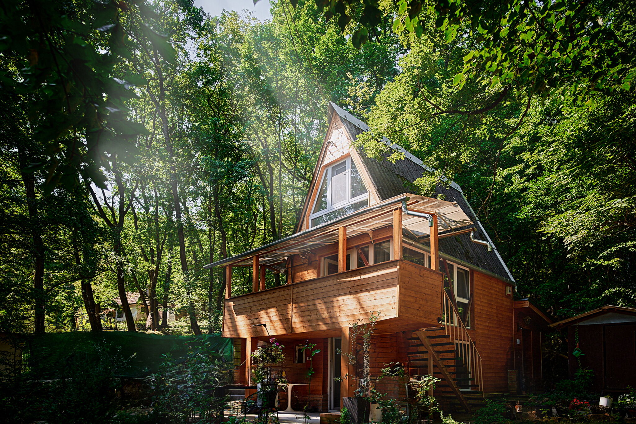 Olive Tree Forest Cabin Original Vendeghaz Kismaros