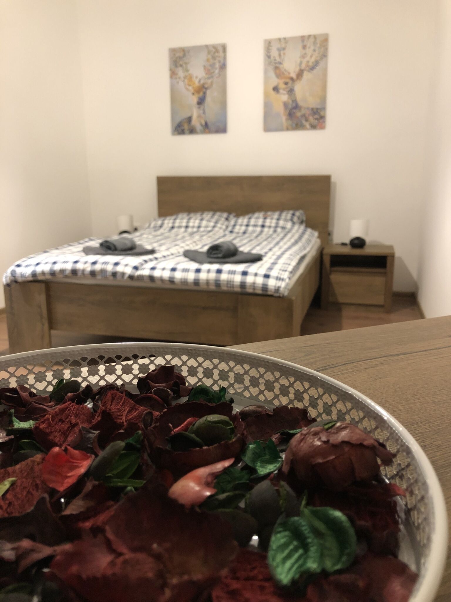 Mormota Vendeghaz Mezokovesd
