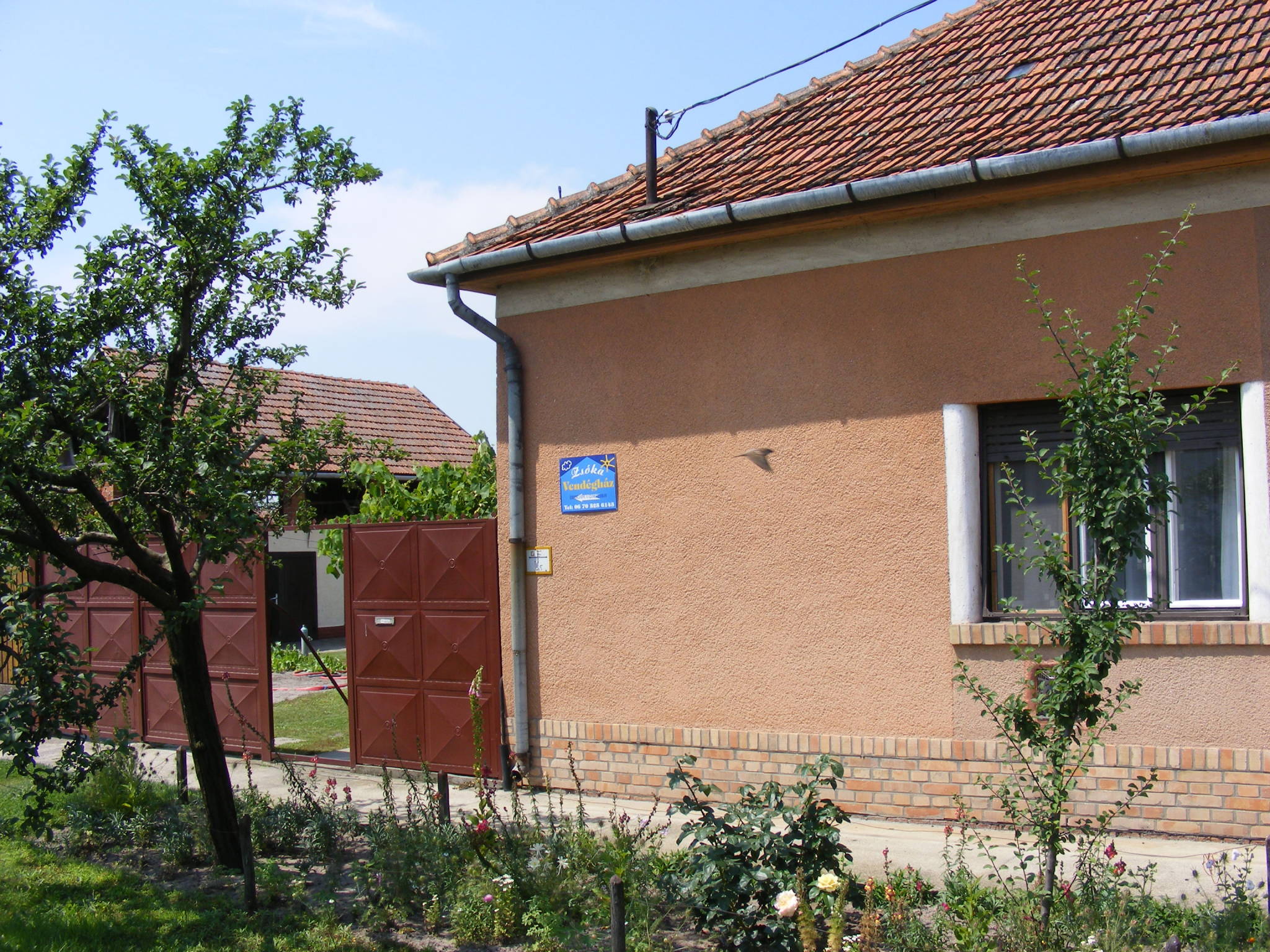 Zsoka Vendeghaz Morahalom
