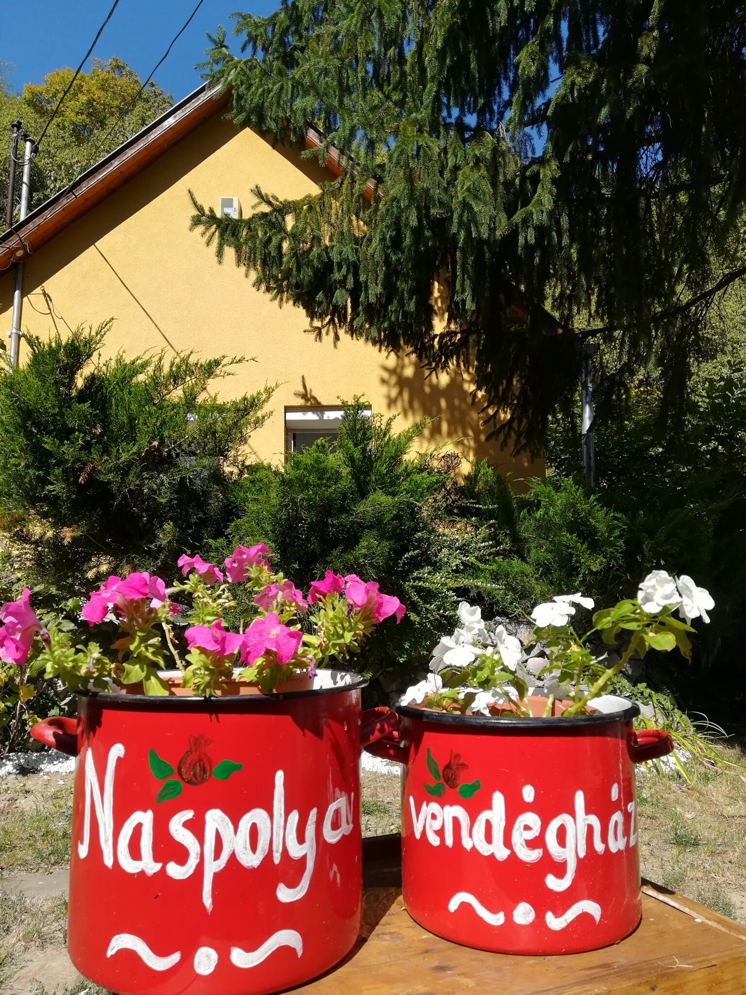 Naspolya Vendeghaz Nagymaros