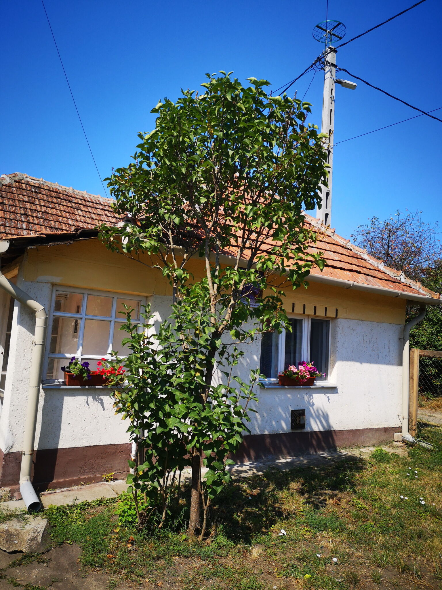 Buzavirag Vendeghaz Poroszlo