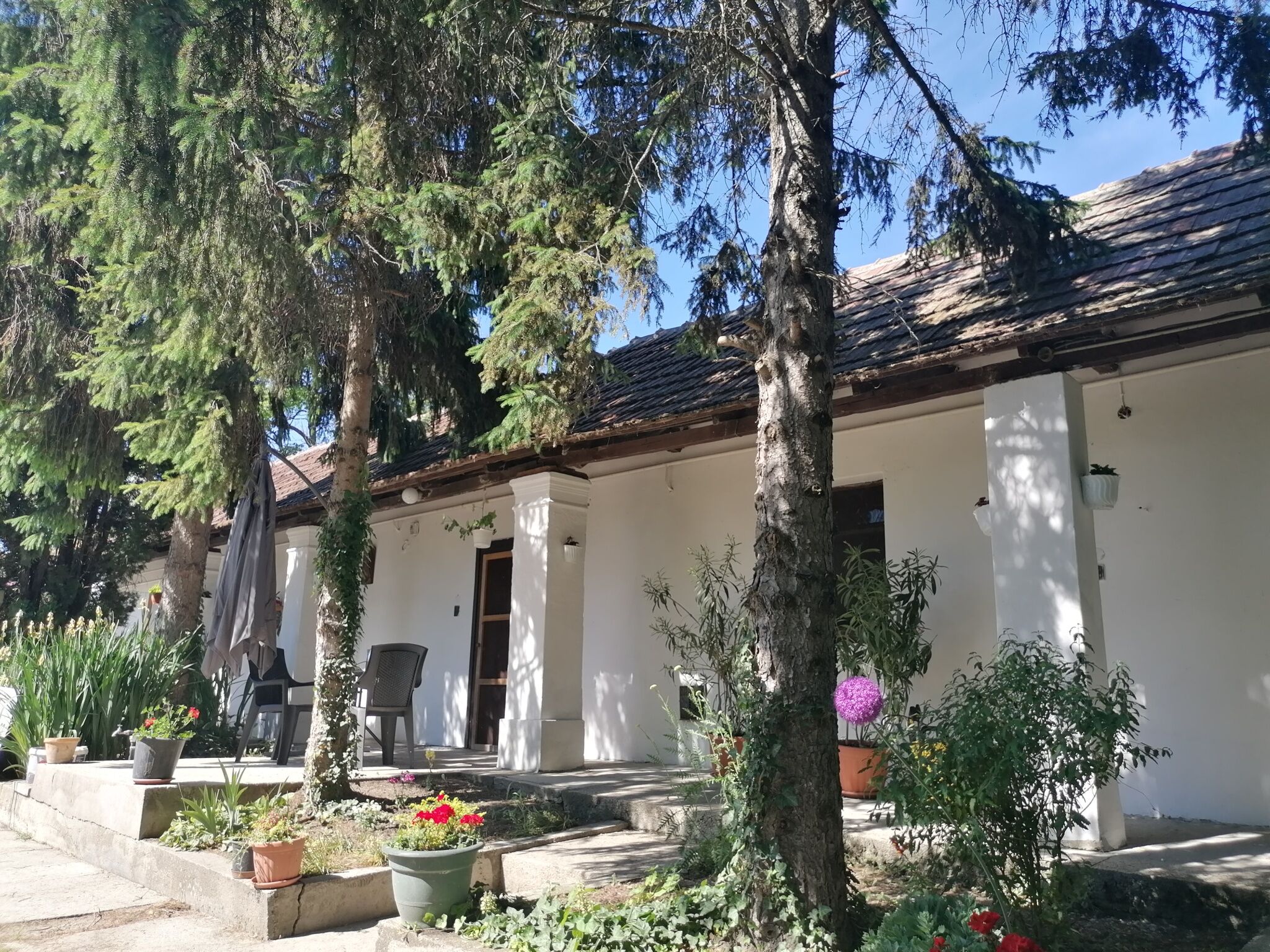 Bella Vendeghaz Poroszlo