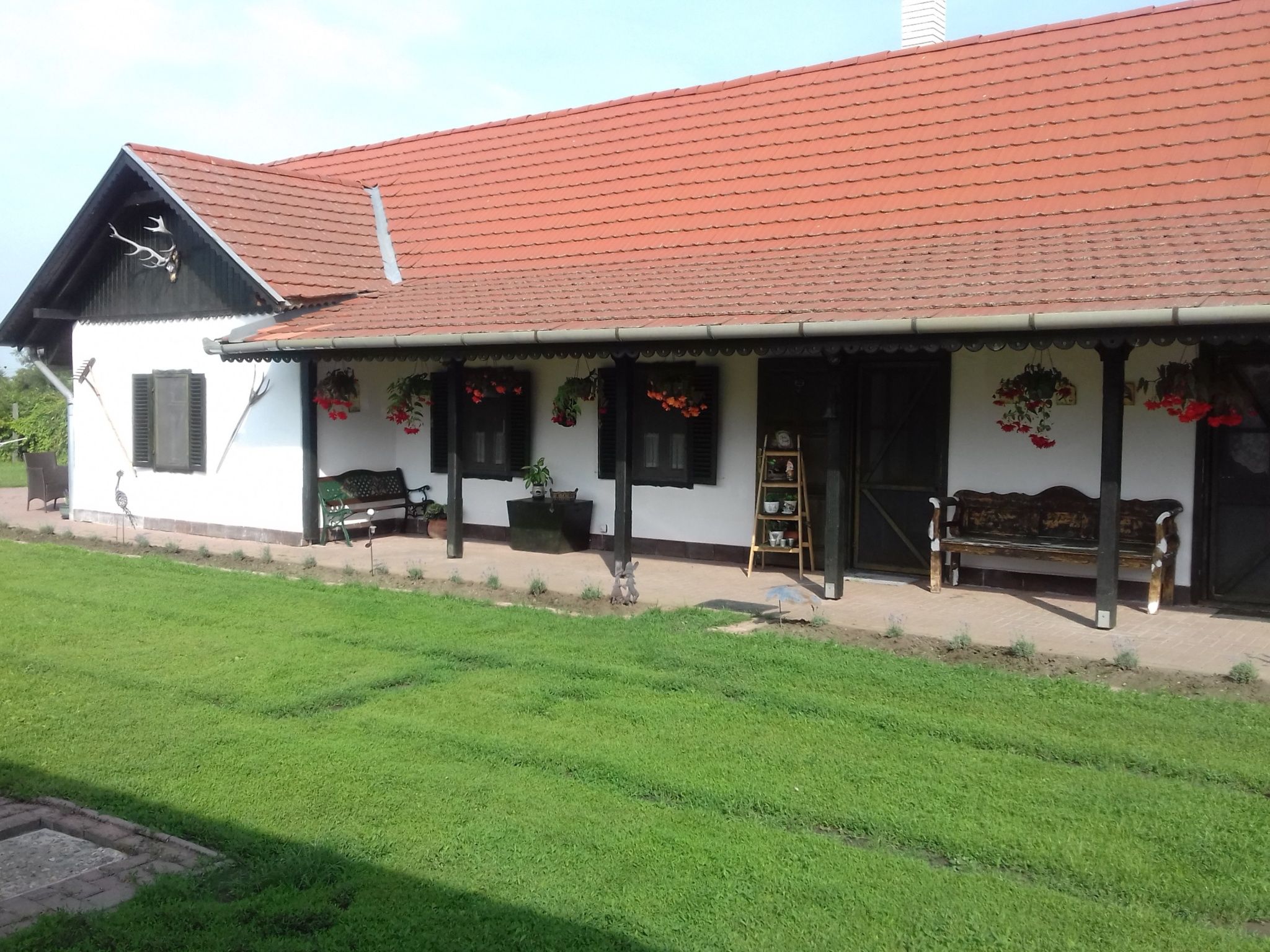 Szivunk Csucske Vendeghaz Sarud