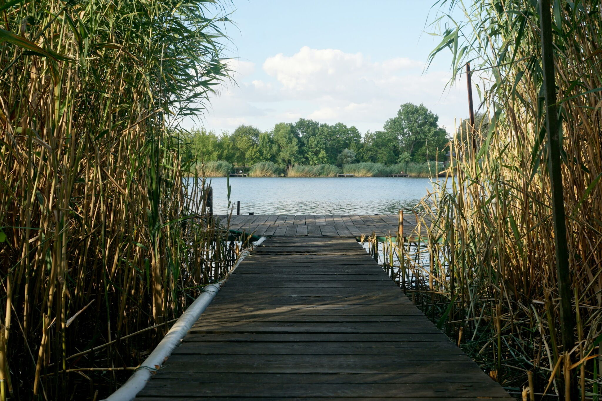 Kis Tisza Horgasz Vendeghaz Tiszaug