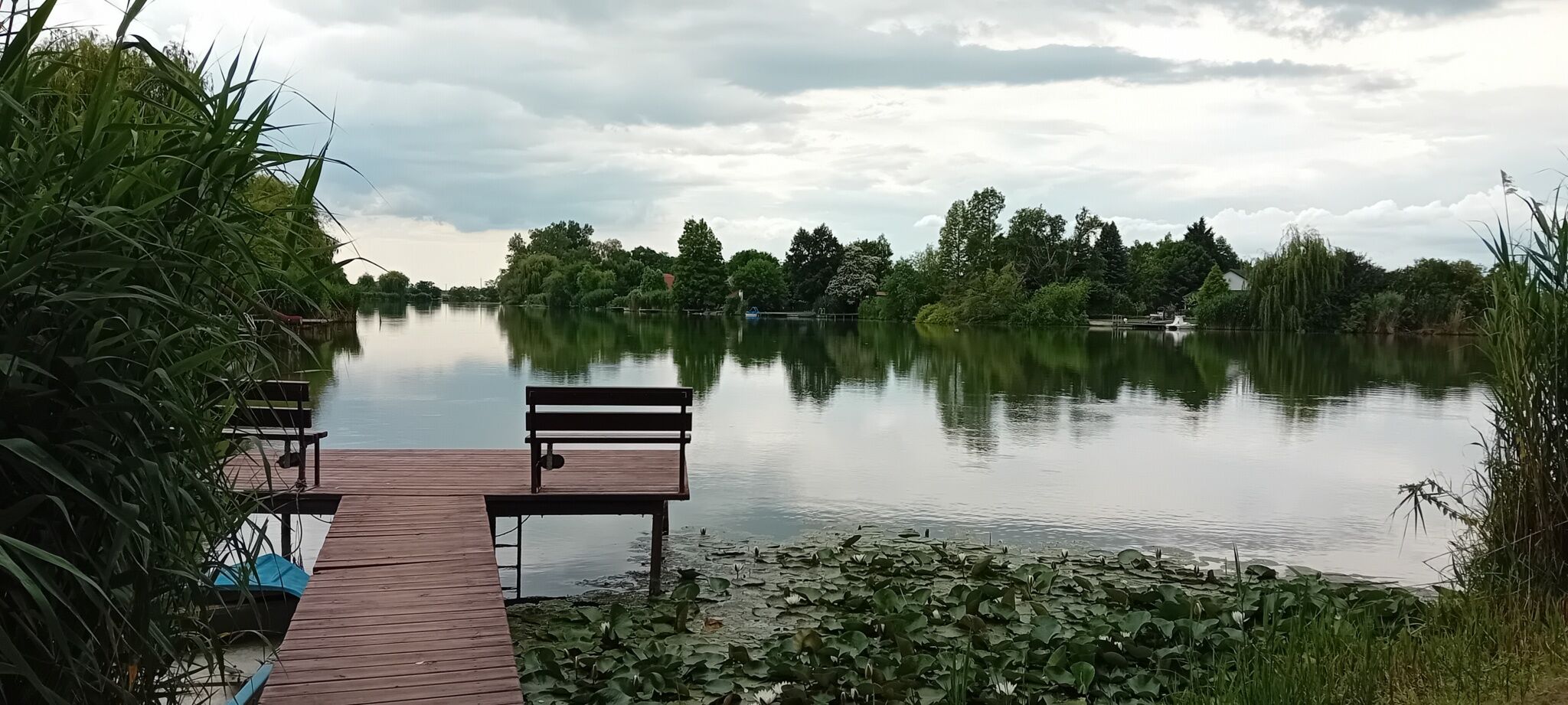 Lilien Vendeghaz Szarvas