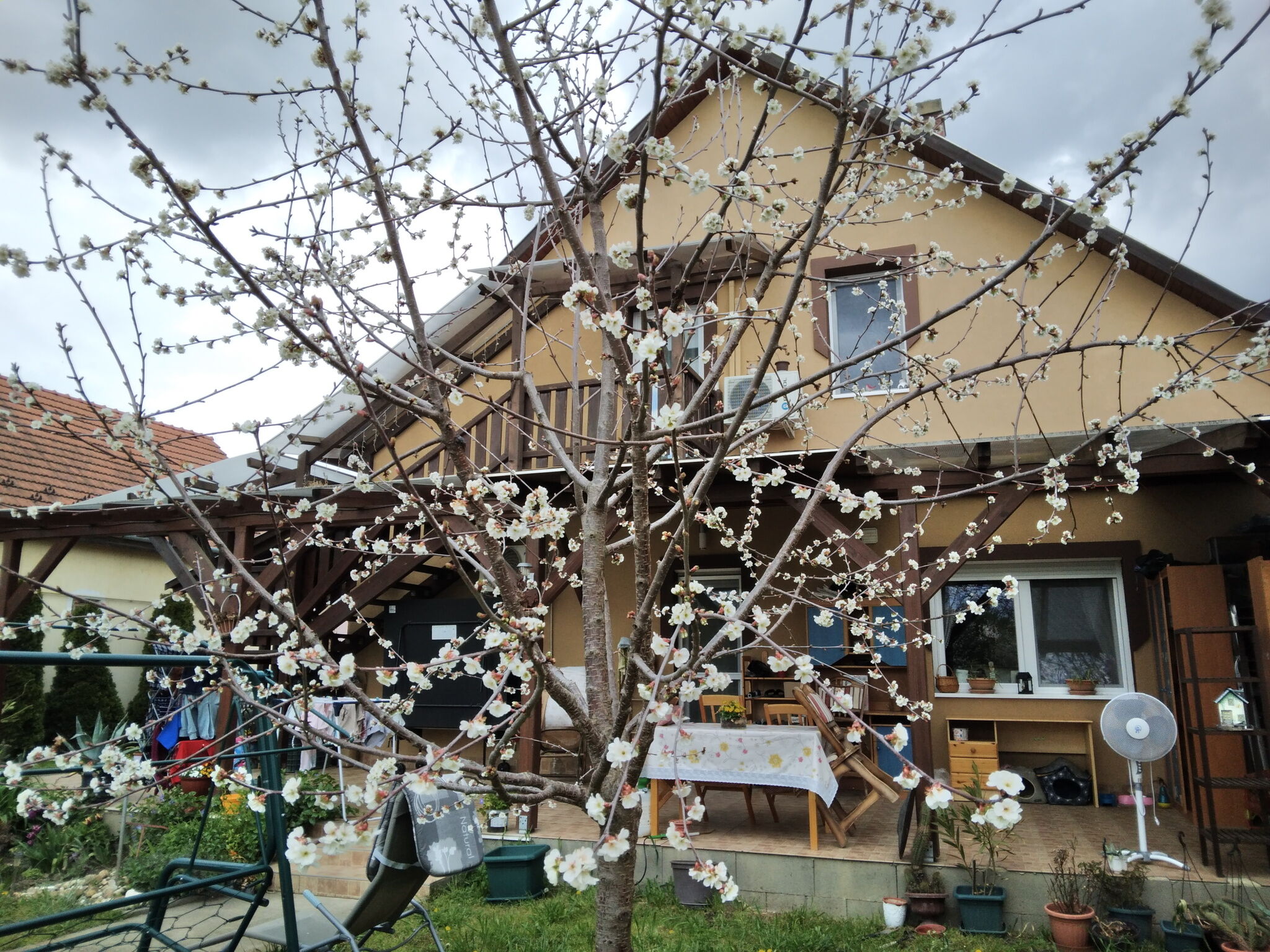 Holt Tisza Vendeghaz Szeged