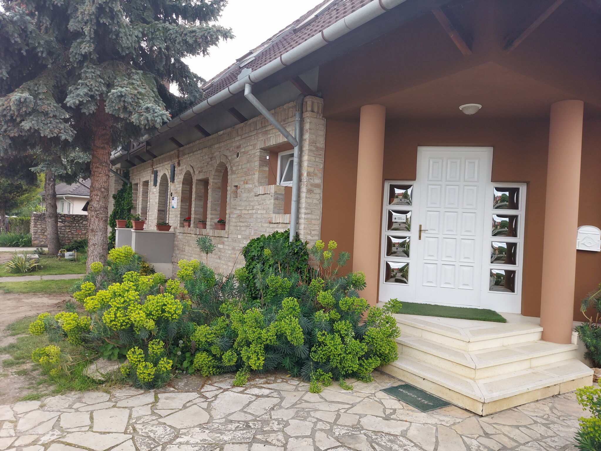 Petra Vendeghaz Szekszard